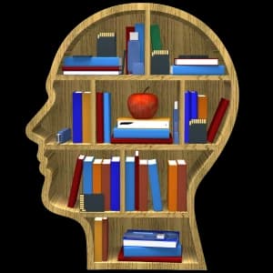 design of a head full of books