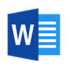 Microsoft Word Consulting Services